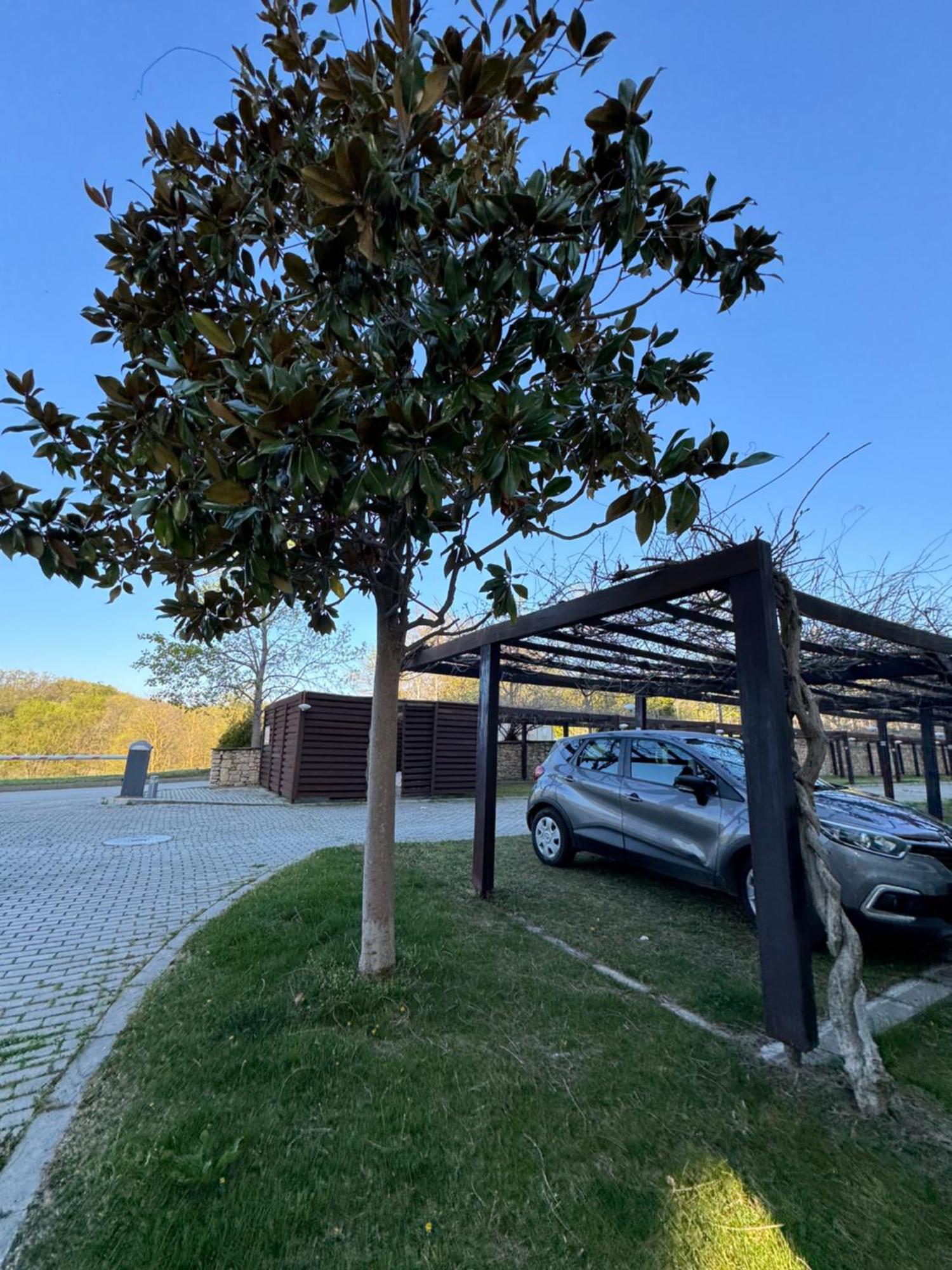דירות אובזור Sea View Penthouse מראה חיצוני תמונה
